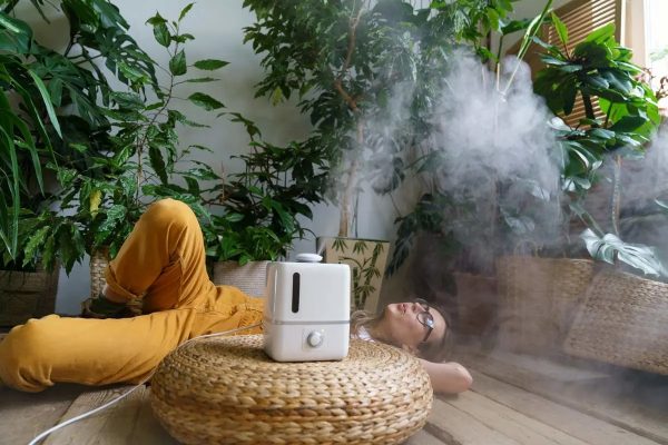 humidifier-plants